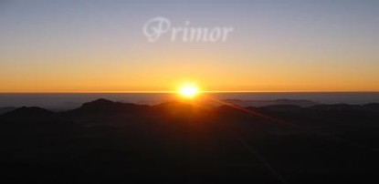 Primor